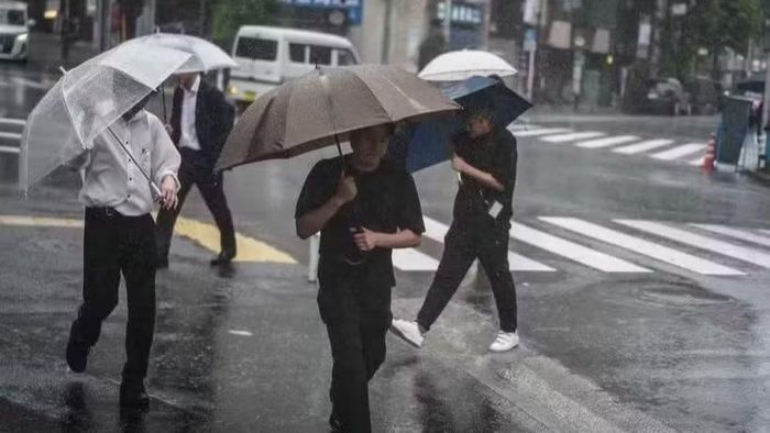 Một cơn bão gây mưa lớn tại Nhật Bản. (Ảnh: THX/TTXVN)