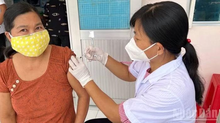 Tiêm vaccine phòng bệnh dại tại Vĩnh Long. (Ảnh: HOÀNG TRUNG)