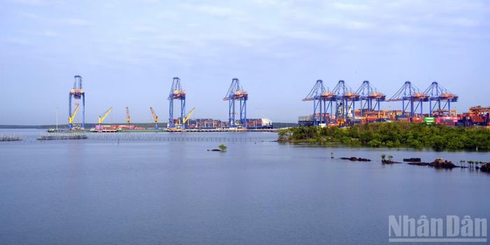 Cảng biển và kho bãi container ở Cái Mép-Thị Vải (Ảnh: Lê Đình Thìn).