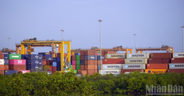 Hàng hóa container ở Cái Mép-Thị Vải. (Ảnh: Lê Đình Thìn)
