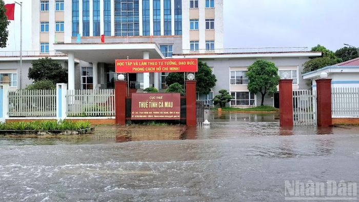 Khu vực trước trụ sở Cục Thuế tỉnh Cà Mau trên đường Trần Hưng Đạo bị nước ngập trắng xóa. (Ảnh: HỮU TÙNG)