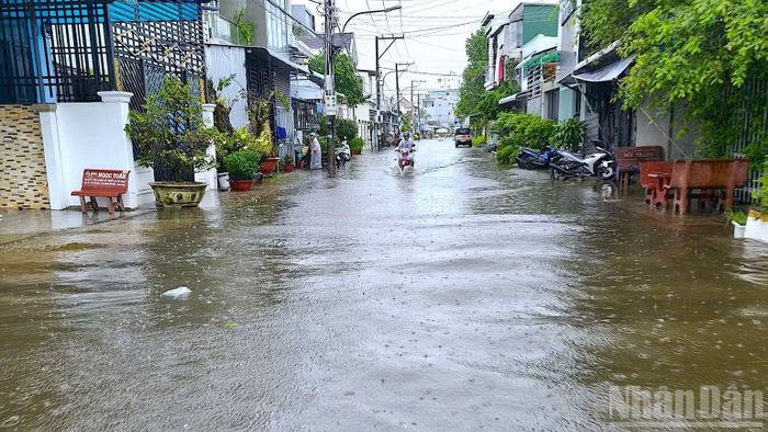 Một khu dân cư thuộc phường An Xuyên (tỉnh Cà Mau) bị ngập sâu, nước tràn sát mép cửa nhà dân. (Ảnh: HỮU TÙNG)