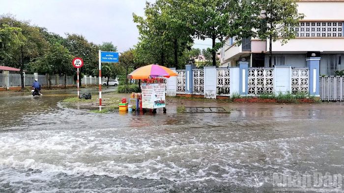 Nước mưa chảy xiết trên đường Trần Hưng Đạo, tràn qua vỉa hè gây ngập nặng khu vực hành chính cấp sở, ngành của Cà Mau. (Ảnh: HỮU TÙNG)