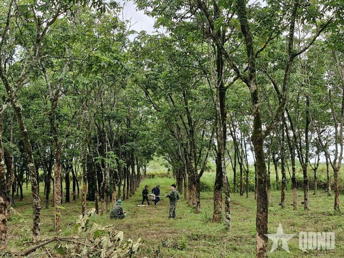  Tổ ra-đa xuyên đất của Viện Thiết kế, Tổng cục Hậu cần-Kỹ thuật khảo sát hài cốt liệt sĩ tại căn cứ Cồn Tiên. Ảnh: ĐOÀN HƯNG