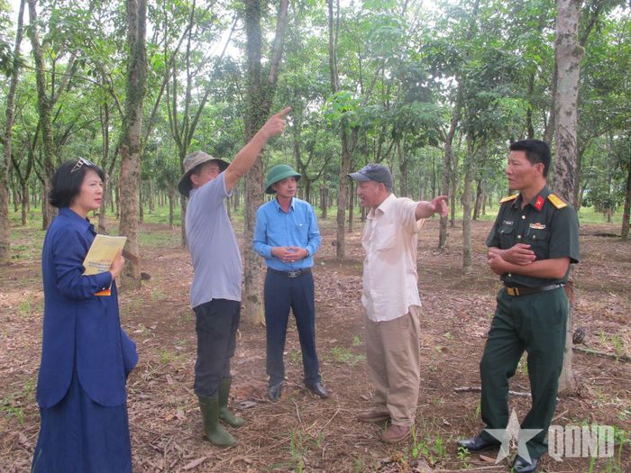  Các nhà nghiên cứu, nhân chứng, cán bộ địa phương khảo sát thực địa tại Cồn Tiên. Ảnh: HOA LÊ