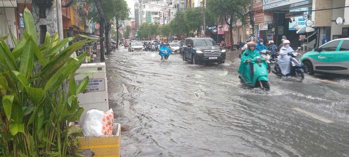  Đường Nguyễn Gia Trí (phường Thạnh Mỹ Tây) 