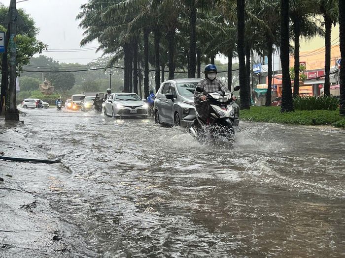  Ngập đường 9A, Khu dân cư Trung Sơn, xã Bình Hưng, TPHCM. Ảnh: QUỐC HÙNG 