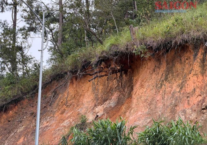  Một vị trí sạt lở để lộ ra phần rễ cây. Ảnh: ĐOÀN KIÊN 