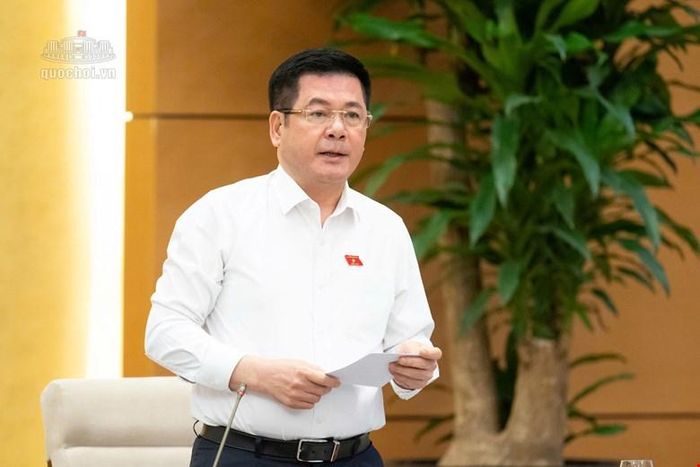 Phó Chủ tịch Quốc hội Nguyễn Hồng Diên phát biểu tại phiên họp. Ảnh: Quochoi.vn 