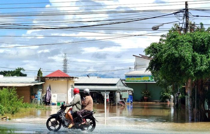 Ghi nhận chiều 23-9, chợ Hàm Kiệm (xã Hàm Kiệm, tỉnh Lâm Đồng) ngập sâu trong nước. Ảnh: TIẾN THẮNG
