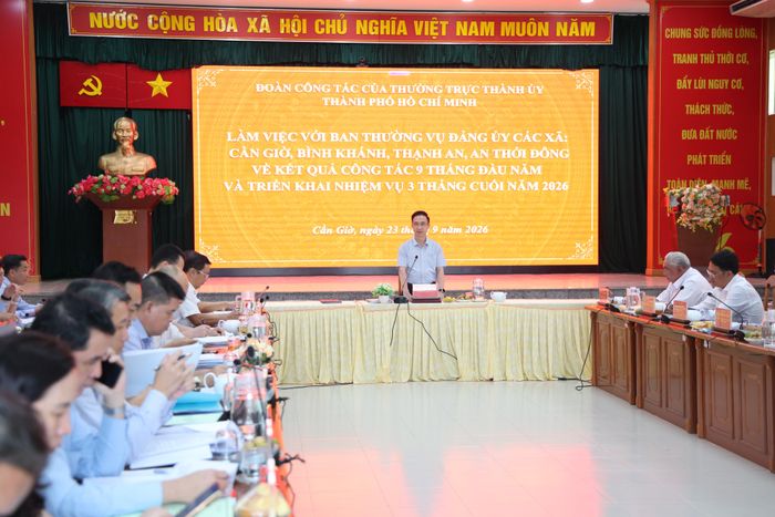 Phó Bí thư Thành ủy TPHCM Đặng Minh Thông chủ trì buổi làm việc. Ảnh: LÊ THOA
