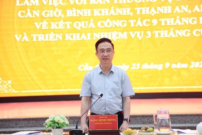 Phó Bí thư Thành ủy TPHCM Đặng Minh Thông phát biểu kết luận. Ảnh: LÊ THOA