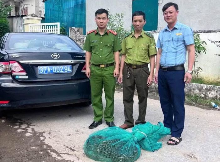 Đơn vị chức năng vận chuyển cá thể trăn bàn giao cho Vườn Quốc gia Pù Mát để thả về môi trường tự nhiên.