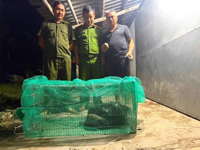 Con trăn khủng nặng 20kg bò vào nhà ông Hồ Trọng Phước.