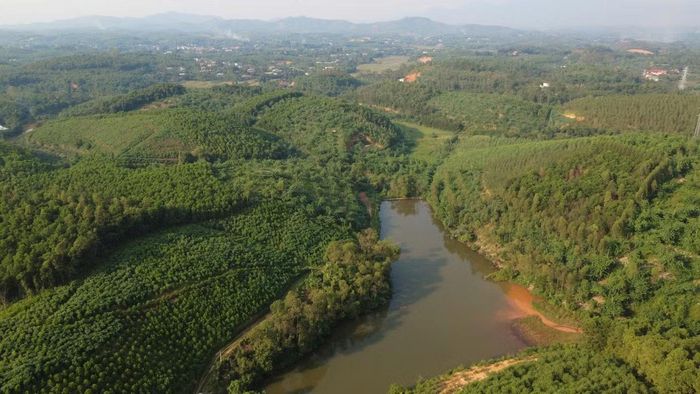 Trong đó, xưởng số 2 là khu vực có chứa chất thải nguy hại. Kết quả phân tích mẫu tại ô chôn lấp của bãi rác cho thấy, tổng dầu mỡ khoáng vượt ngưỡng chất thải nguy hại theo quy chuẩn kỹ thuật môi trường. Thanh tra Chính phủ xác định vụ việc có dấu hiệu của tội Gây ô nhiễm môi trường và chuyển hồ sơ, tài liệu tới cơ quan điều tra để xem xét, xử lý.
