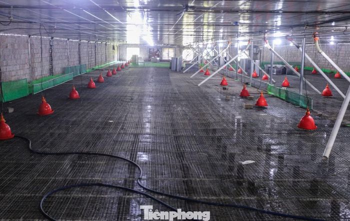 Theo chủ trang trại, thiệt hại kinh tế ước tính khoảng 10 tỷ đồng. Chị Huyền cho biết sẽ đề xuất ngân hàng xem xét giãn nợ để có thêm nguồn lực khắc phục môi trường, tái đàn, từng bước ổn định lại hoạt động chăn nuôi. Trong ảnh, nhiều khu vực chuồng nuôi bị thiệt hại, không còn gà, vịt.