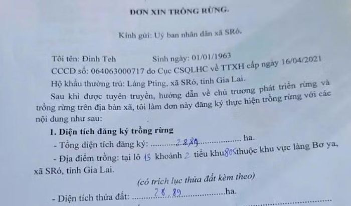 Lá đơn xin trồng rừng có nhiều điểm cần làm rõ.