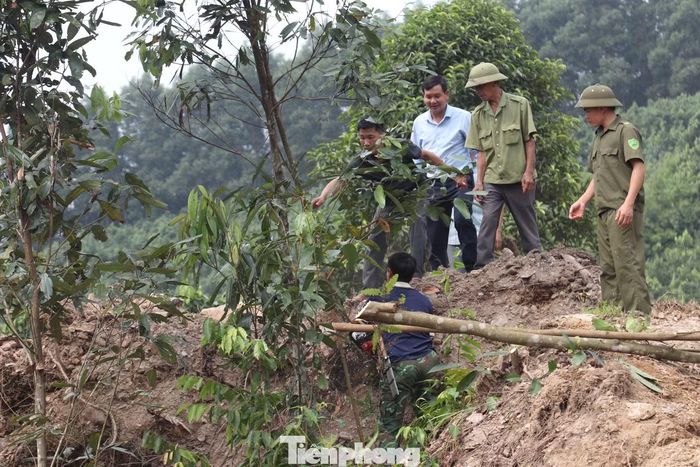 Người dân đồng thuận hiến đất, chặt cây để mở rộng đường.