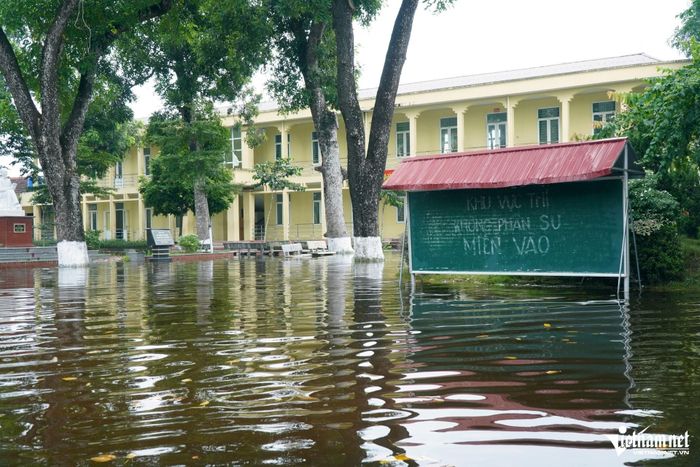 Sân trường ngập trắng. Ảnh: Lê Dương