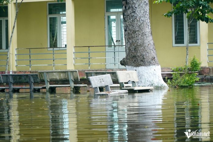 Trung bình mực nước sâu khoảng 50cm. Ảnh: Lê Dương