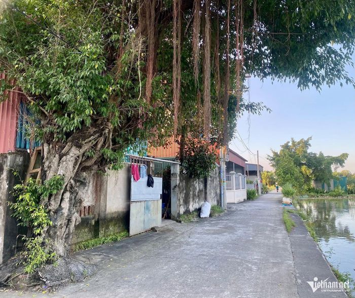 Việc xác định loại đất, điều kiện khi đăng ký đất đai, cấp sổ đỏ lần đầu phải căn cứ nguồn gốc, quá trình quản lý, sử dụng đất, hồ sơ địa chính và các giấy tờ liên quan. Ảnh minh hoạ: Hồng Khanh