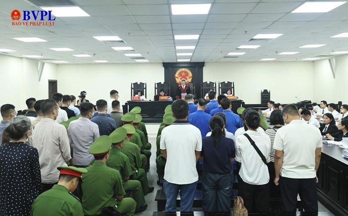 Quang cảnh phiên tòa.