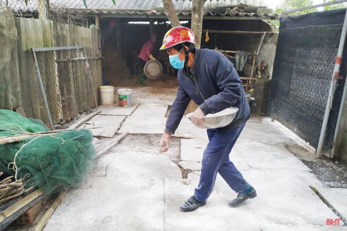 Người chăn nuôi ở Mai Phụ rắc vôi bột trên đường vào chuồng trại để ngăn ngừa dịch bệnh.