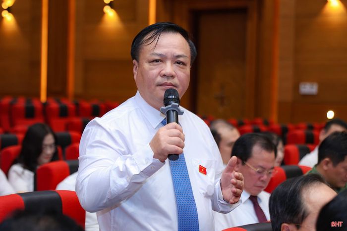 Đại biểu Nguyễn Văn Tuấn - Phó Trưởng ban Kinh tế - Ngân sách HĐND tỉnh phát biểu thảo luận.