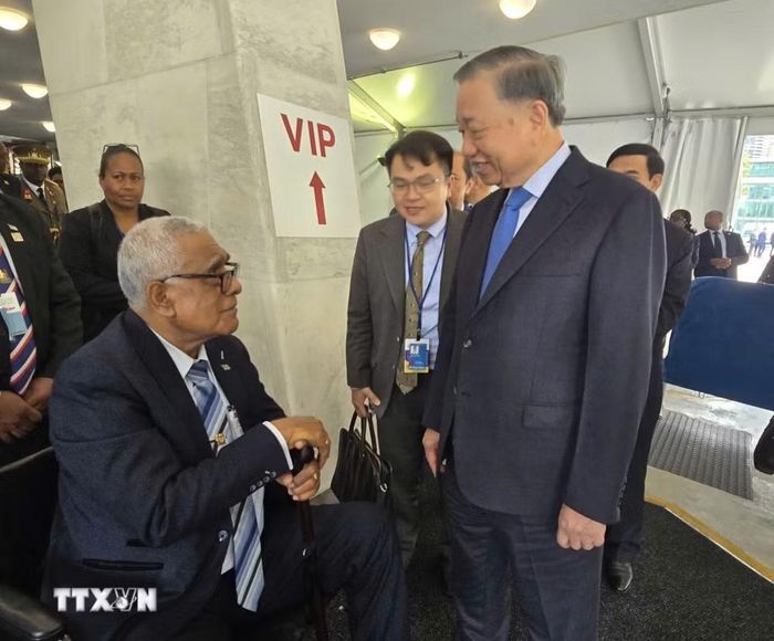 Tổng Bí thư, Chủ tịch nước Tô Lâm gặp Tổng thống Fiji Ratu Naiqama Lalabalavu. (Ảnh: TTXVN)