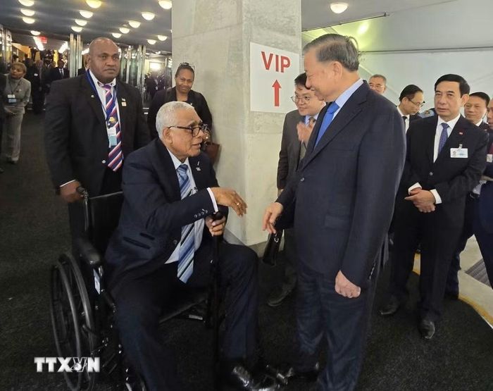 Tổng Bí thư, Chủ tịch nước Tô Lâm gặp Tổng thống Fiji Ratu Naiqama Lalabalavu. (Ảnh: TTXVN)