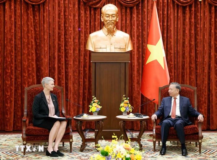 Tổng Bí thư, Chủ tịch nước Tô Lâm tiếp Đại sứ Vương quốc Na Uy Hilde Solbakken. (Ảnh: Thống Nhất/TTXVN)