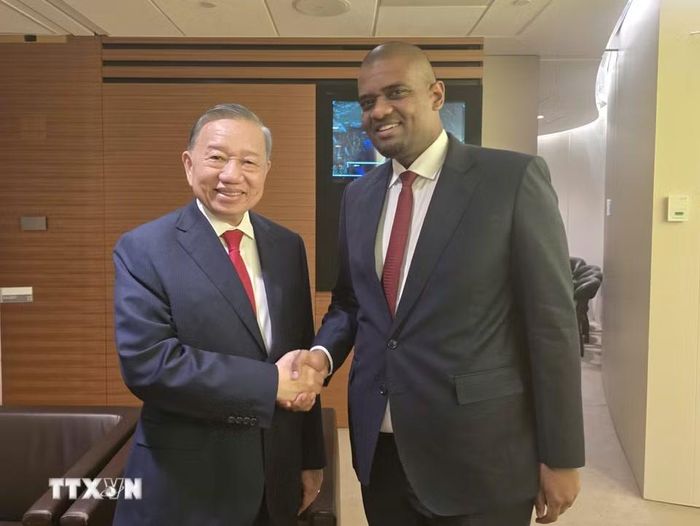 Tổng Bí thư, Chủ tịch nước Tô Lâm gặp Phó Tổng thống Tanzania Deogratius Ndejembi. (Ảnh: Thống Nhất/TTXVN)