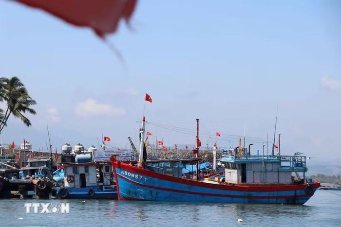 Kiểm soát chặt tàu cá không đáp ứng quy định IUU. (Ảnh: Đoàn Hữu Trung/TTXVN)