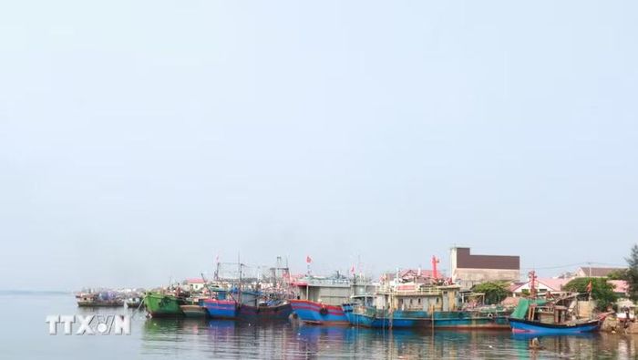 Tỉnh Quảng Trị tiếp tục tập trung nguồn lực đầu tư hoàn thiện các khu neo đậu tránh trú bão cho ngư dân. (Ảnh: Tường Vi/TTXVN)