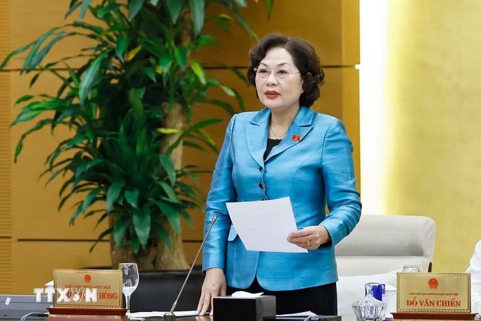 Phó Chủ tịch Quốc hội Nguyễn Thị Hồng phát biểu. (Ảnh: Doãn Tấn/TTXVN)