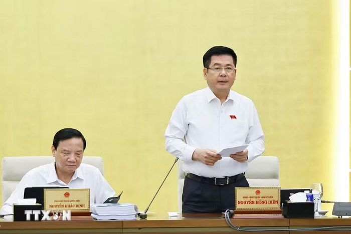 Phó Chủ tịch Quốc hội Nguyễn Hồng Diên phát biểu. (Ảnh: Doãn Tấn/TTXVN)
