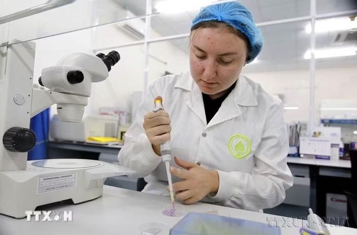 Học viên cao học Tijana Polich (quốc tịch Canada ) học tập nghiên cứu tại Phòng thí nghiệm Công nghệ Sinh học, Trường Đại học Quốc tế, Đại học Quốc gia Thành phố Hồ Chí Minh. (Ảnh: Thanh Vũ/TTXVN)