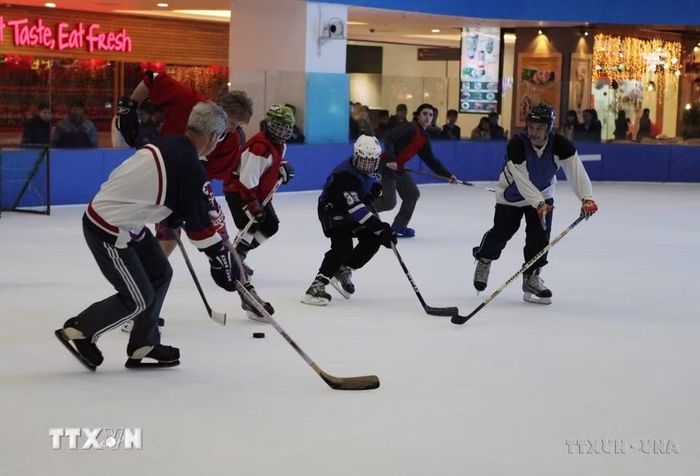 Trận đấu Hữu nghị khúc côn cầu trên băng (ice hockey) giữa hai đội Việt Nam và Canada, tại sân băng Ice Ring (Royal City), Hà Nội. (Ảnh: Trần Việt/TTXVN)