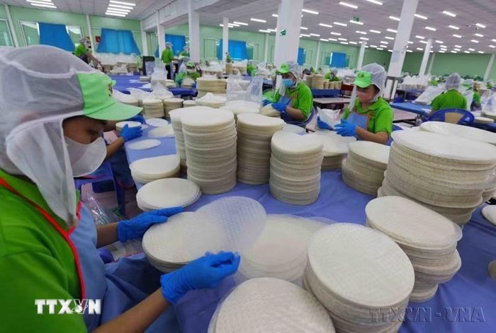 Công ty Trách nhiệm hữu hạn sản xuất, chế biến nông sản xuất khẩu Thuận Phong, Khu công nghiệp Mỹ Tho, phường Trung Anh, tỉnh Đồng Tháp xuất khẩu sản phẩm bánh tráng, bún, phở sang nhiều thị trường trong đó có Canada. (Ảnh: Vũ Sinh/TTXVN)
