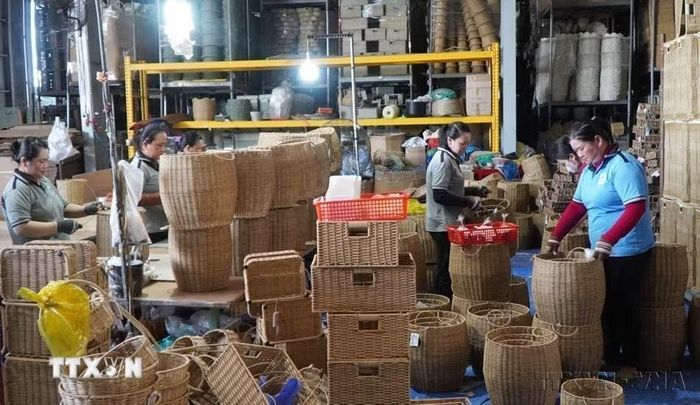 Công ty Trách nhiệm hữu hạn Xuất nhập khẩu Bình An Thịnh (Đồng Tháp) xuất khẩu các sản phẩm thủ công mỹ nghệ làm từ dây nhựa và cây cói, lục bình sang nhiều nước trong đó có Canada. (Ảnh: Nhựt An/TTXVN)
