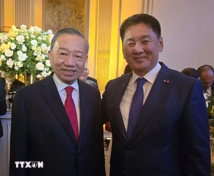 Tổng Bí thư, Chủ tịch nước Tô Lâm gặp Tổng thống Mông Cổ Ukhnaagiin Khürelsükh. (Ảnh: TTXVN)