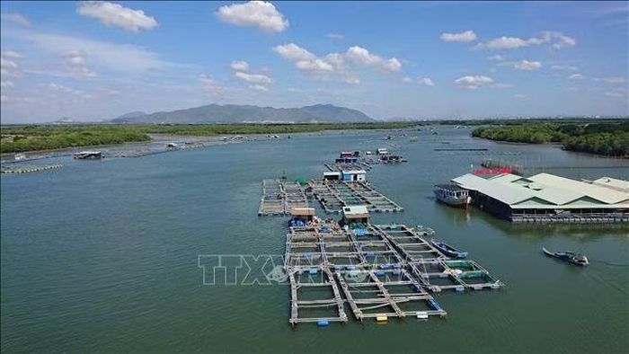 Khu nuôi thủy sản lồng bè trên sông Chà Và, thành phố Vũng Tàu, TP.HCM. Ảnh: Hoàng Nhị/TTXVN