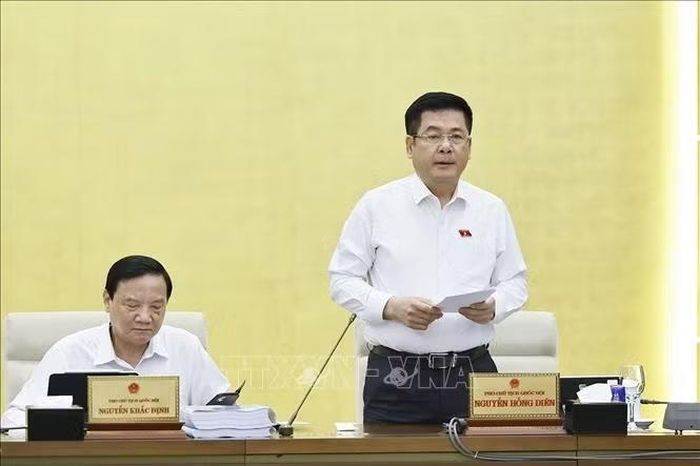 Phó Chủ tịch Quốc hội Nguyễn Hồng Diên phát biểu. Ảnh: Doãn Tấn/TTXVN