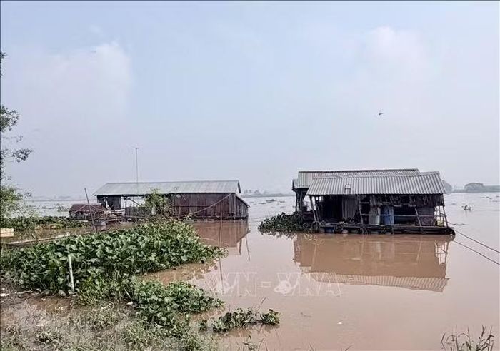 Mực nước sông Hậu tại xã Mỹ Hòa Hưng (An Giang) dâng theo triều cường.