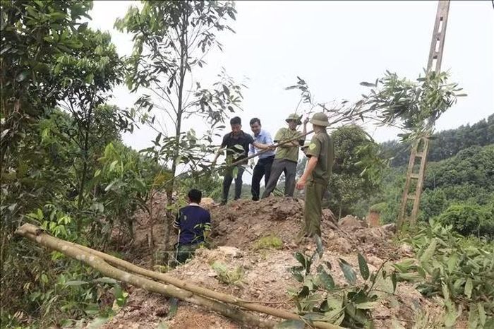 Chủ tịch UBND xã Việt Hồng Nguyễn Tiến Chiển tuyên truyền, vận động người dân chặt quế, bàn giao mặt bằng để thi công tuyến đường giao thông.