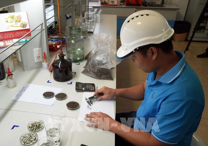 Công nhân đang làm việc tại phòng thí nghiệm của Công ty TNHH Hải Đại (Khu công nghiệp Hòa Phú, xã Phú Quới, tỉnh Vĩnh Long). Ảnh: Phạm Minh Tuấn-TTXVN