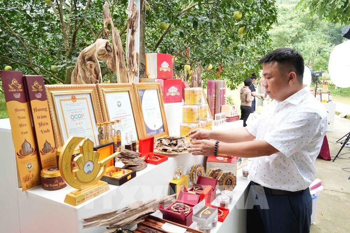 Hợp tác xã trầm hương Hiền Linh (xã Phúc Trạch) hiện có nhiều sản phẩm OCOP. Ảnh: Hữu Quyết – TTXVN