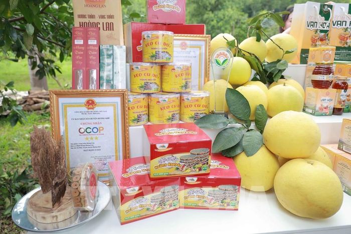 Hà Tĩnh hiện có trên 200 sản phẩm OCOP đạt tiêu chuẩn từ 3-5 sao. Ảnh: Hữu Quyết – TTXVN