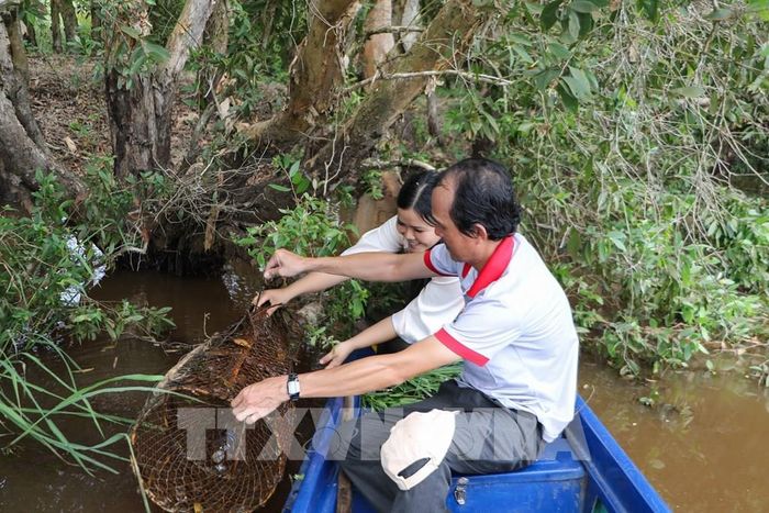 Du khách trải nghiệm đặt lờ tại Khu du lịch Tràm Chim mùa nước nổi. Ảnh: Hồng Thái - TTXVN