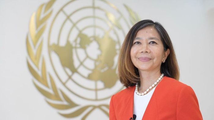 Bà Pauline Tamesis, Điều phối viên thường trú Liên hợp quốc tại Việt Nam